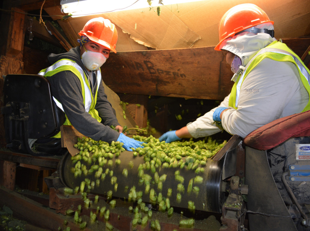 hop_women_sorting