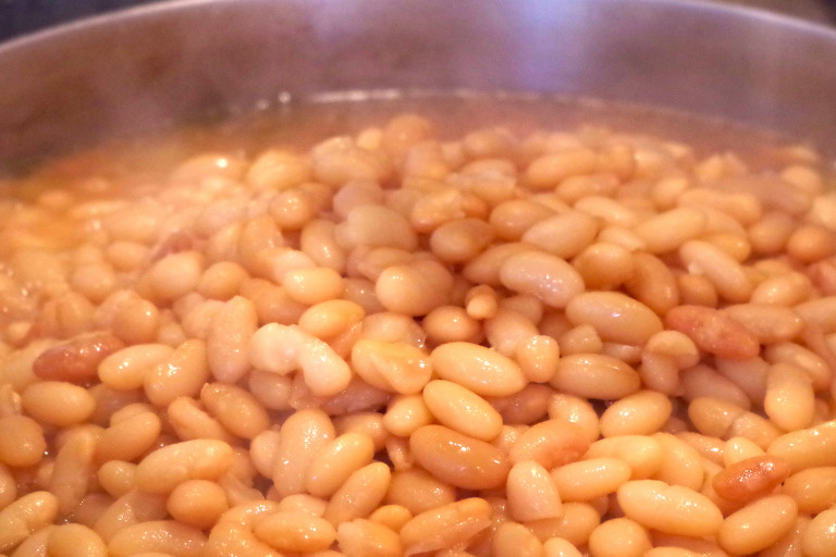 Perfecting a Yakima Valley Staple Beans rooted