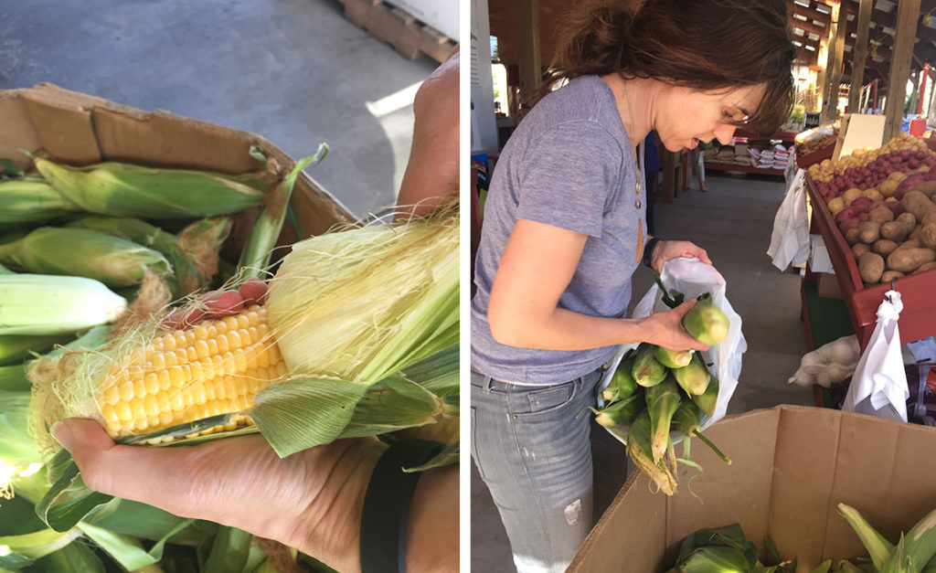 choosing corn